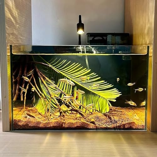 LONGRUI 黒背景 ベタ水槽 おしゃれ クリアガラス 飼育用ベタ 金魚 熱帯魚 小型 ブラック クリアガラス アクアリウム リビング用 ベタ専用設計 フレームレス水槽 の商品画像 3