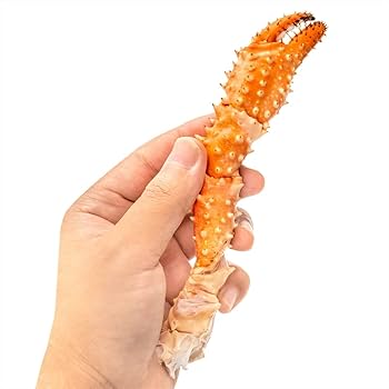 Amazon | カニ ゴールデンキングクラブ イバラガニ 5Lサイズ