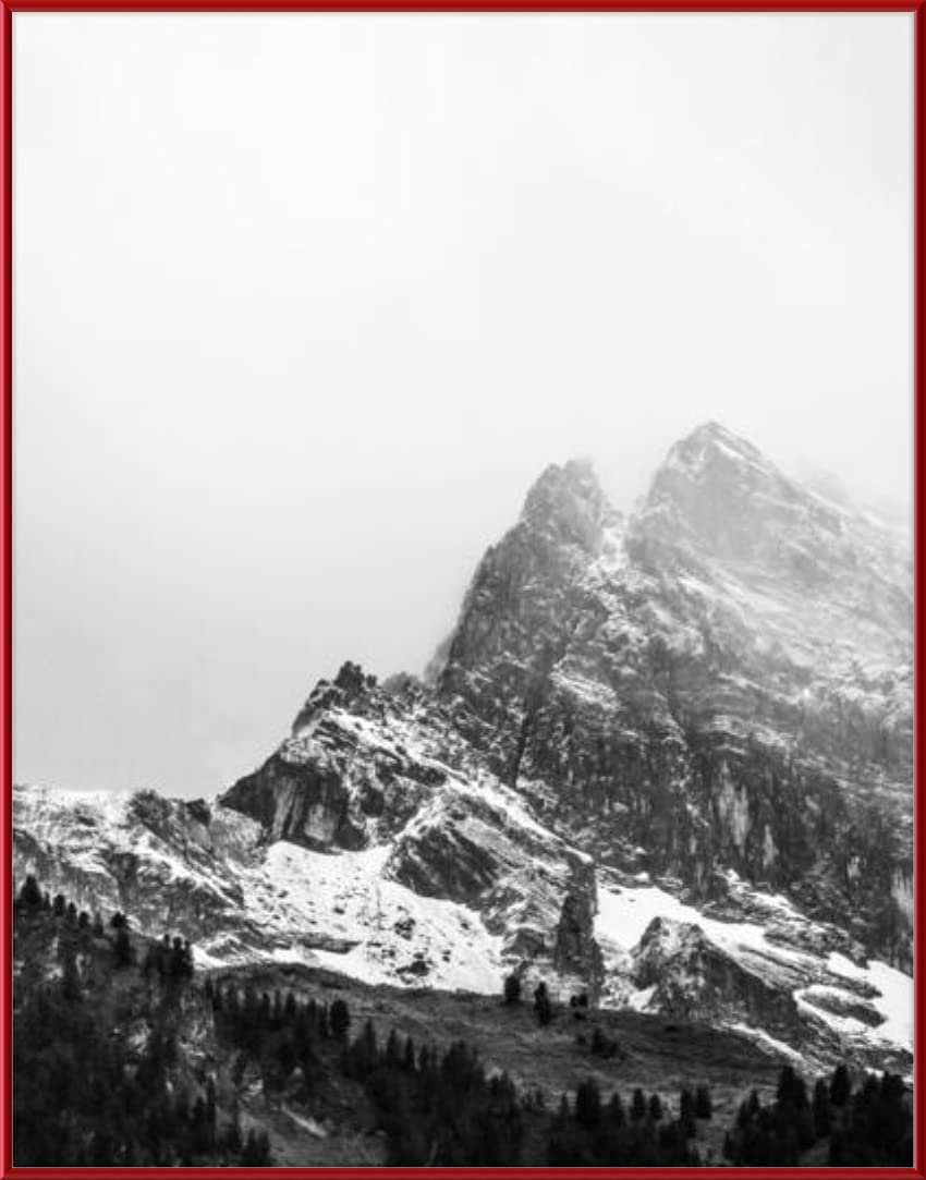 Amazon.co.jp: 29 x 37ポスターフレーム – プロファイル: # 15カスタム