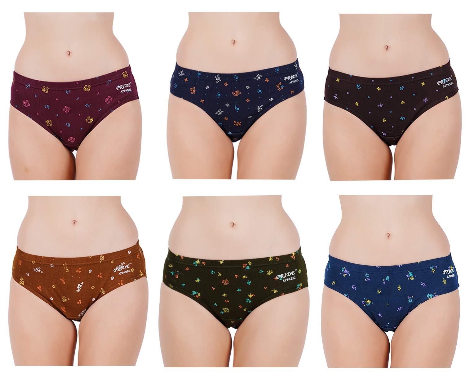 pride apparel Multicolor Soft Cotton Hipster Brief Panties Innerwear for Womens Combo Pack of 6(HAS-IE-06-LAD)-picture-13