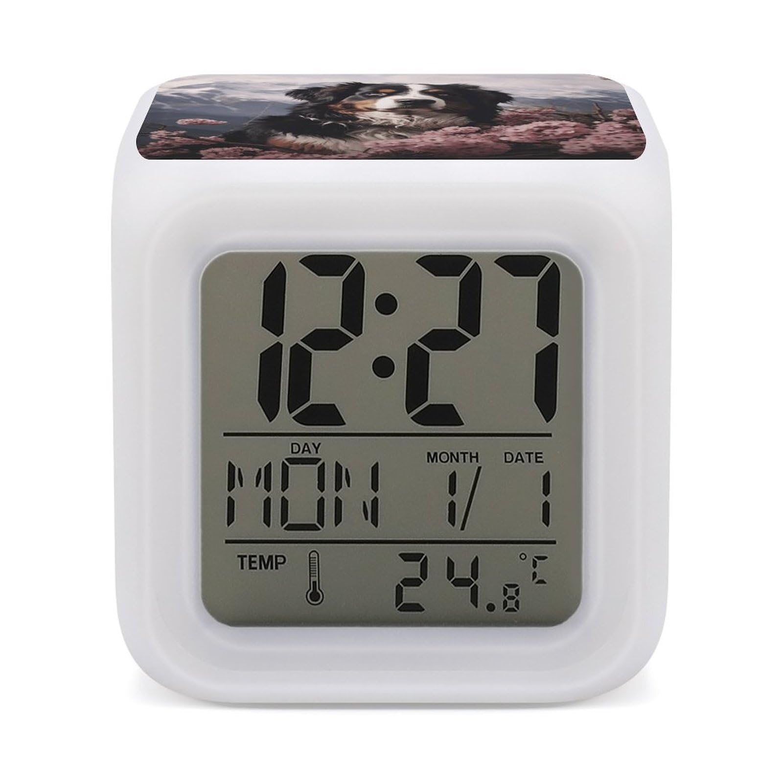 Reloj despertador de Boyero de Berna con pantalla digital y luz LED multicolor
