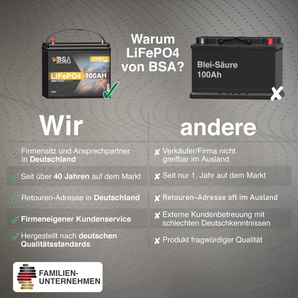 BSA LiFePO4 100Ah 12V Mini Lithium Batterie Wohnmobil Solarbatterie Solar