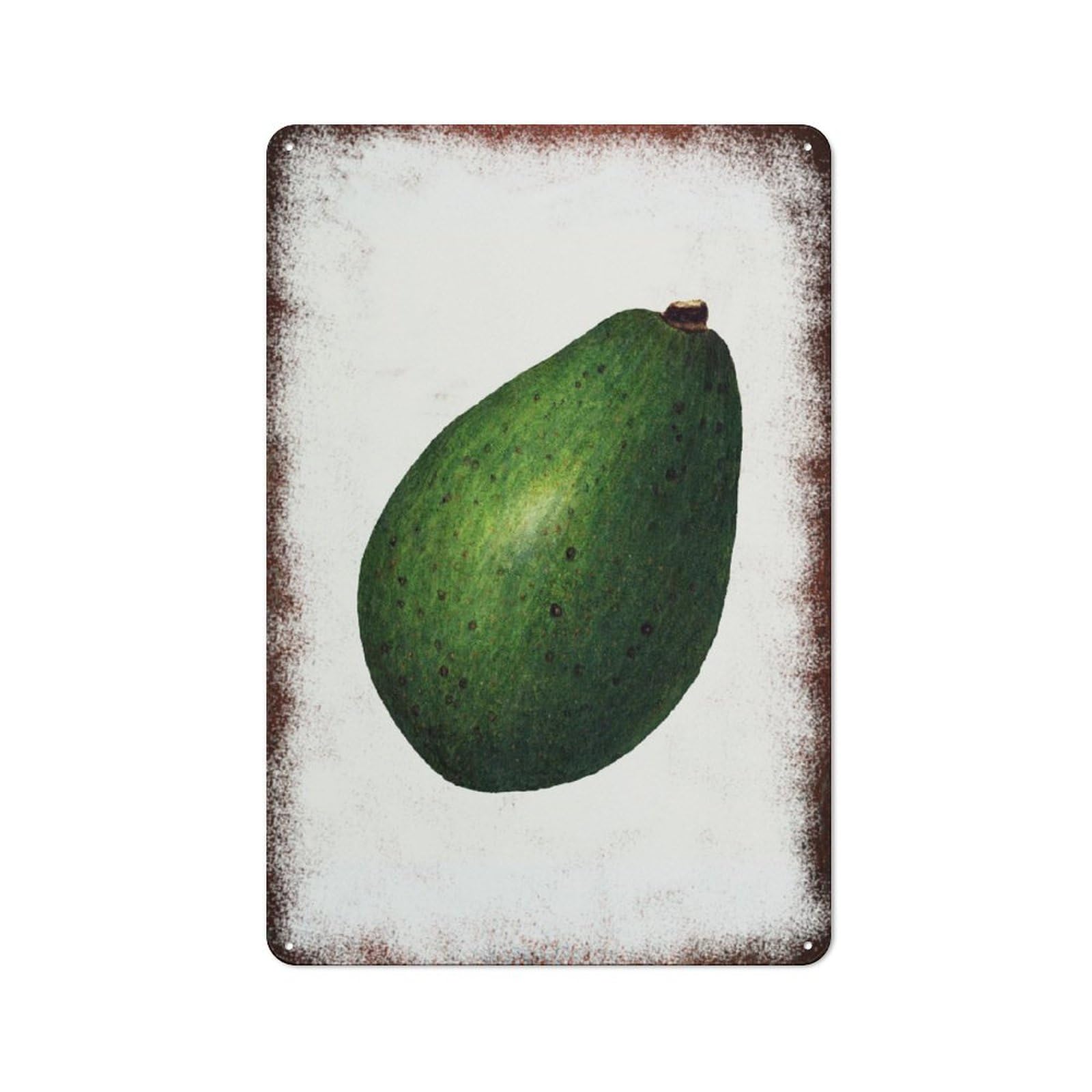 Tropical Avocado Modern Minimalist Home Yard Wall Decor Sign 8 * 12inch
