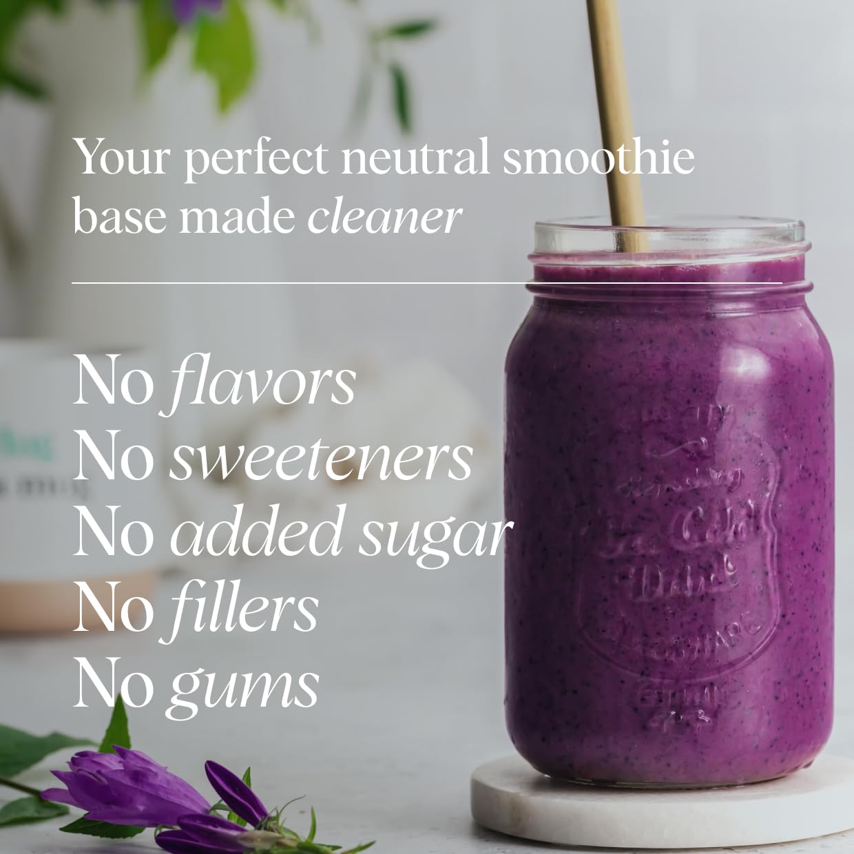 Ora Organic Vegan Protein Powder - Unflavored & Unsweetened, 20 Servings — Amazon image 4
