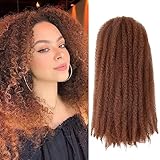 Marley Hair Afro Kinky Curly Crochet Hair 3 Packs 18 Inch Long Marley Twist Braiding Hair Ombre Synthetic Marley Braids Hair Extensions for Women(3 Packs,18 Inch,30#)
