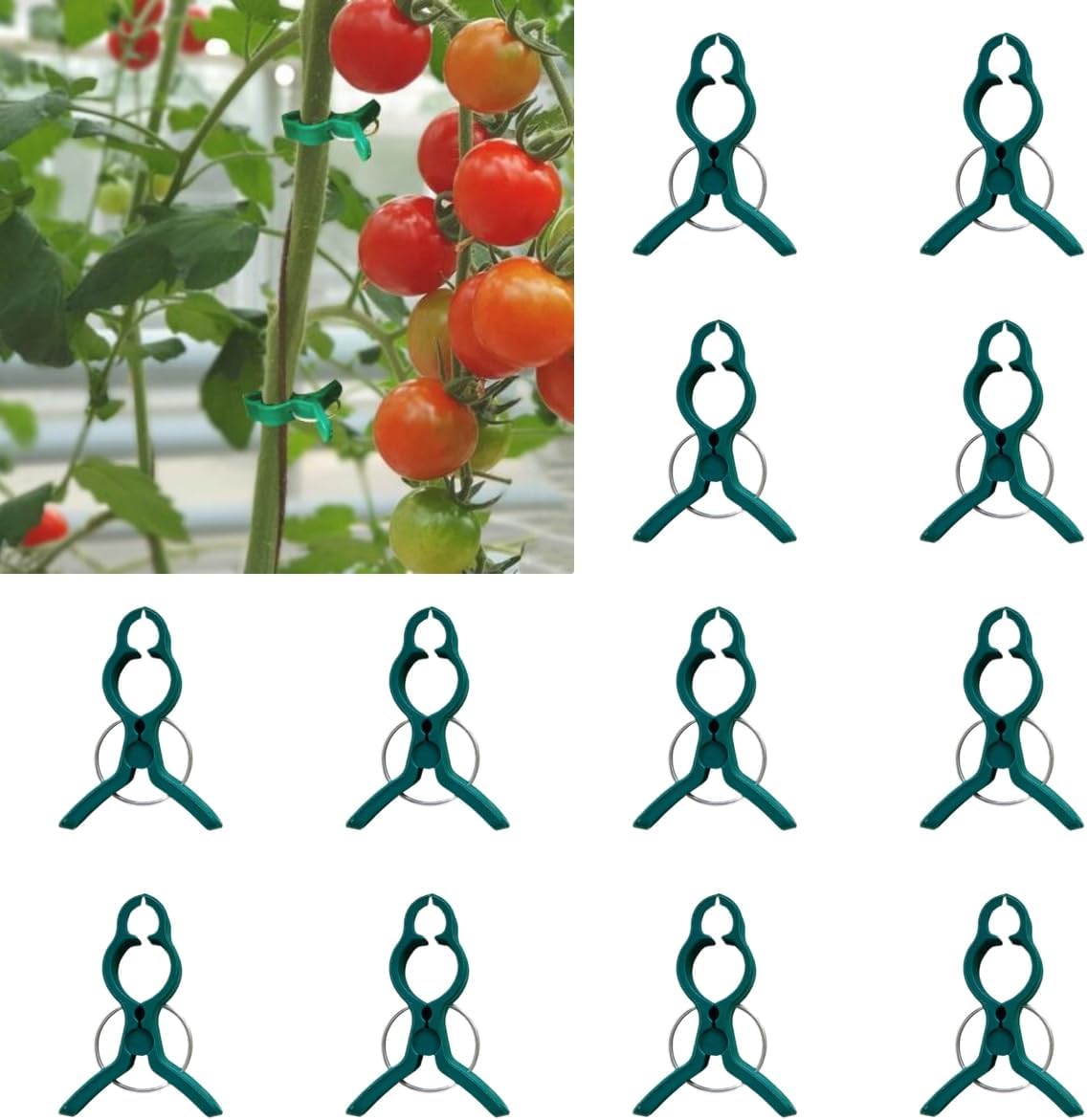 200PCS Secured Plastic Plant Supports, Clips for Climbing & Fixing, Tomato Trellis Garden Vine Clips (B# S+L)