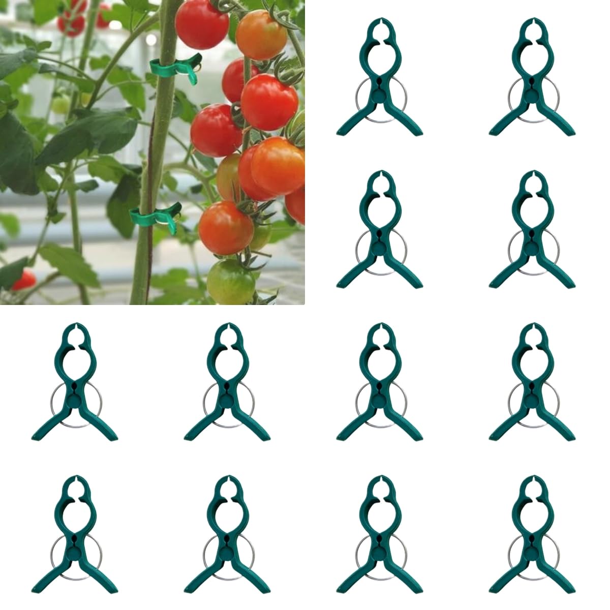 Podpory do roślin. Plastic Climbing Plants Support Clips, Tomato Trellis Vine Fixing, Multicolor(#B)