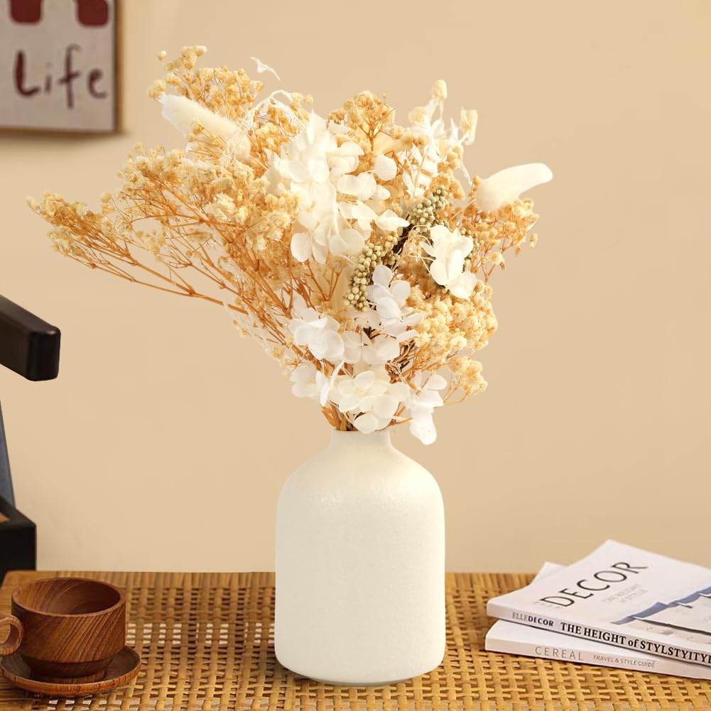 Fiori Secchi Naturali e Pressati per Artigianato, Resina, Scrapbooking, Creazione di Gioielli e Decorazioni Floreali Fai da te