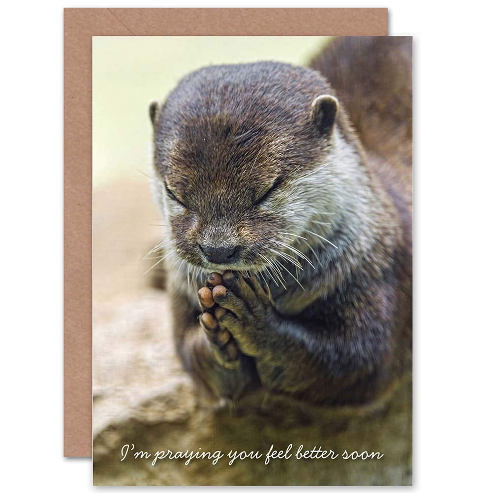 Wee Blue Coo CARD GET WELL SOON GOOD HEALTH PRAYING OTTER GIFT