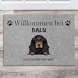 Pet Printed personalisierte Fußmatte für 1-3 Hunde mit Namen - Türmatte für Außen und Innen - Fußabtreter für die Haustür selbst gestalten - Grau