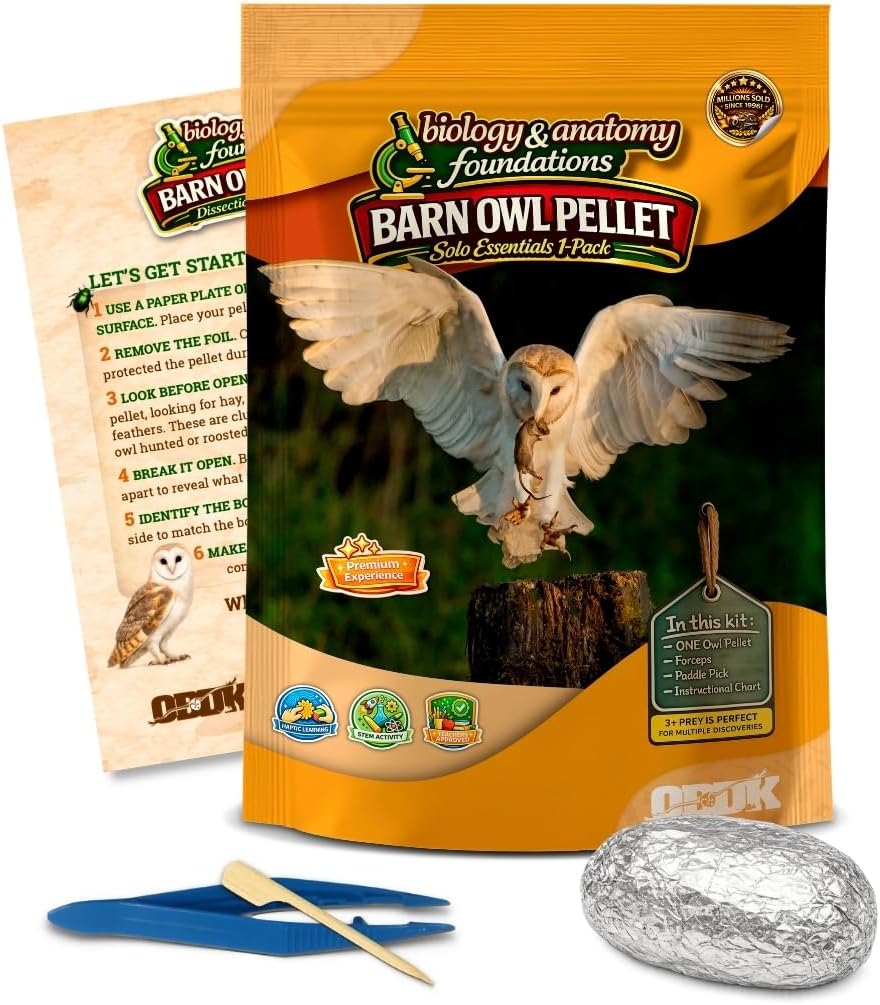 - Barn Owl Pellets Classroom 1 Pack (Large) – Dissection Kit for Ecology & STEM – Includes Forceps, Picks & Teacher Guide – Hands-On Science Activity