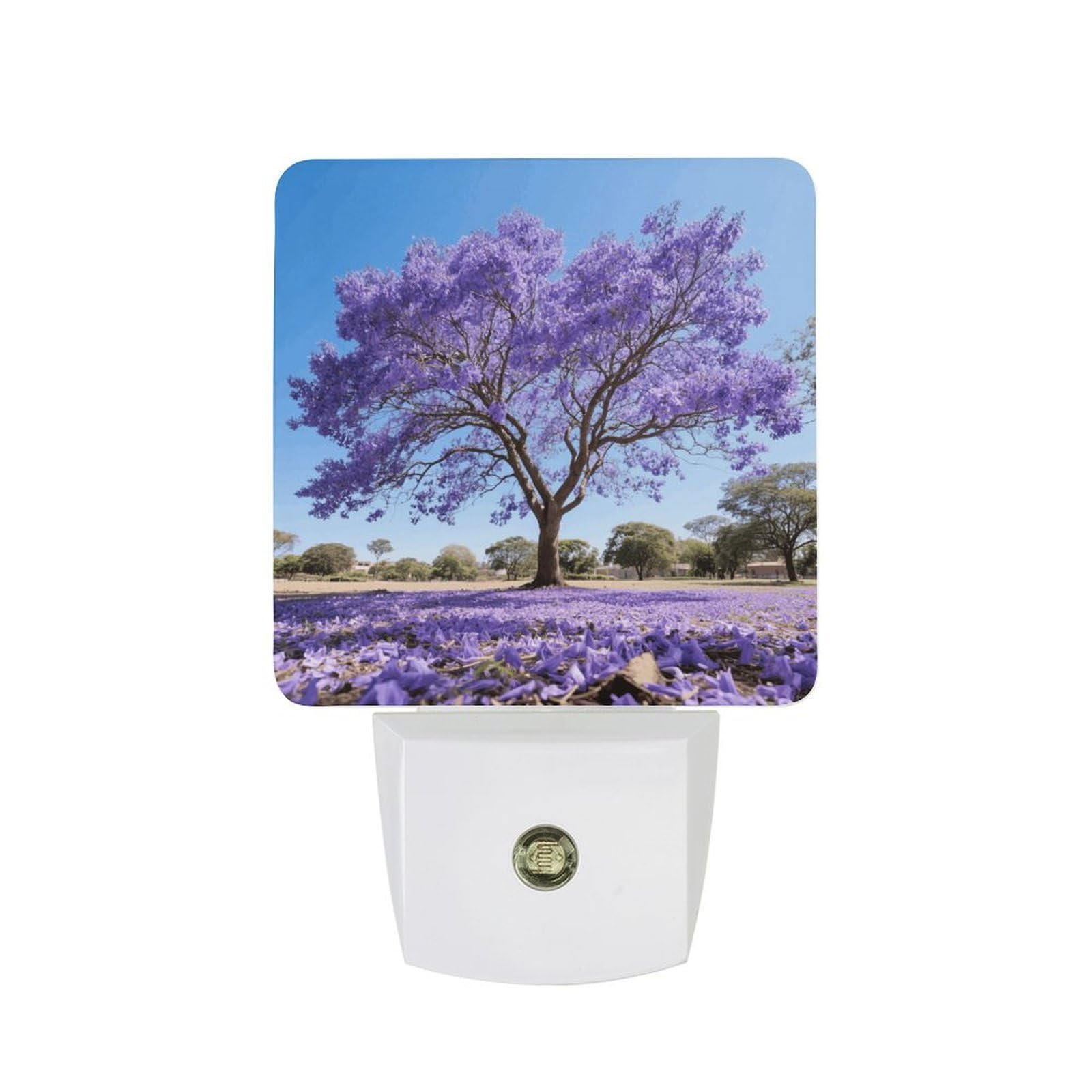 FodPand Night Light Plug Into Wall with Dusk to Dawn Sensor 0.5w Modern LED Jacaranda Plug in Night Lamp Warm White Glow Nightlight for Bedroom Hallway Kitchen Bathroom Stairs Corridor