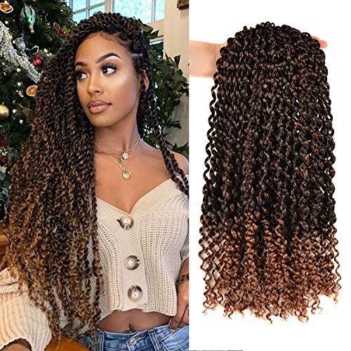LEEZI Passion Twist Hair 18 inch，Crochet Braids Hair for Black Women，6 Packs Water Wave Hair Extensions (6Pcs T30)