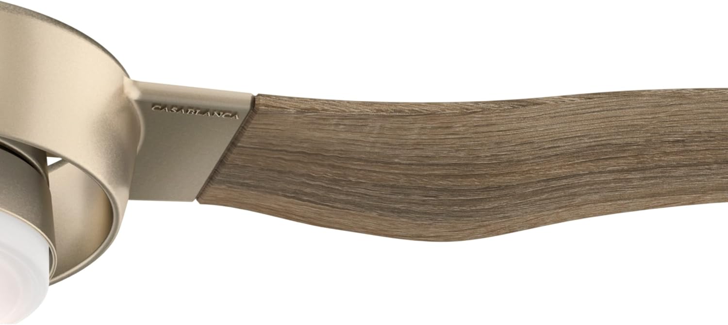 Casablanca Perseus Indoor/Outdoor Ceiling Fan with LED Light and Wall Control