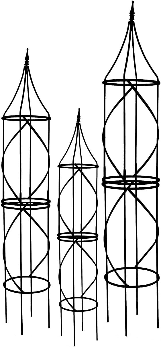 Medium Border Tuteur - Item #AMTUT