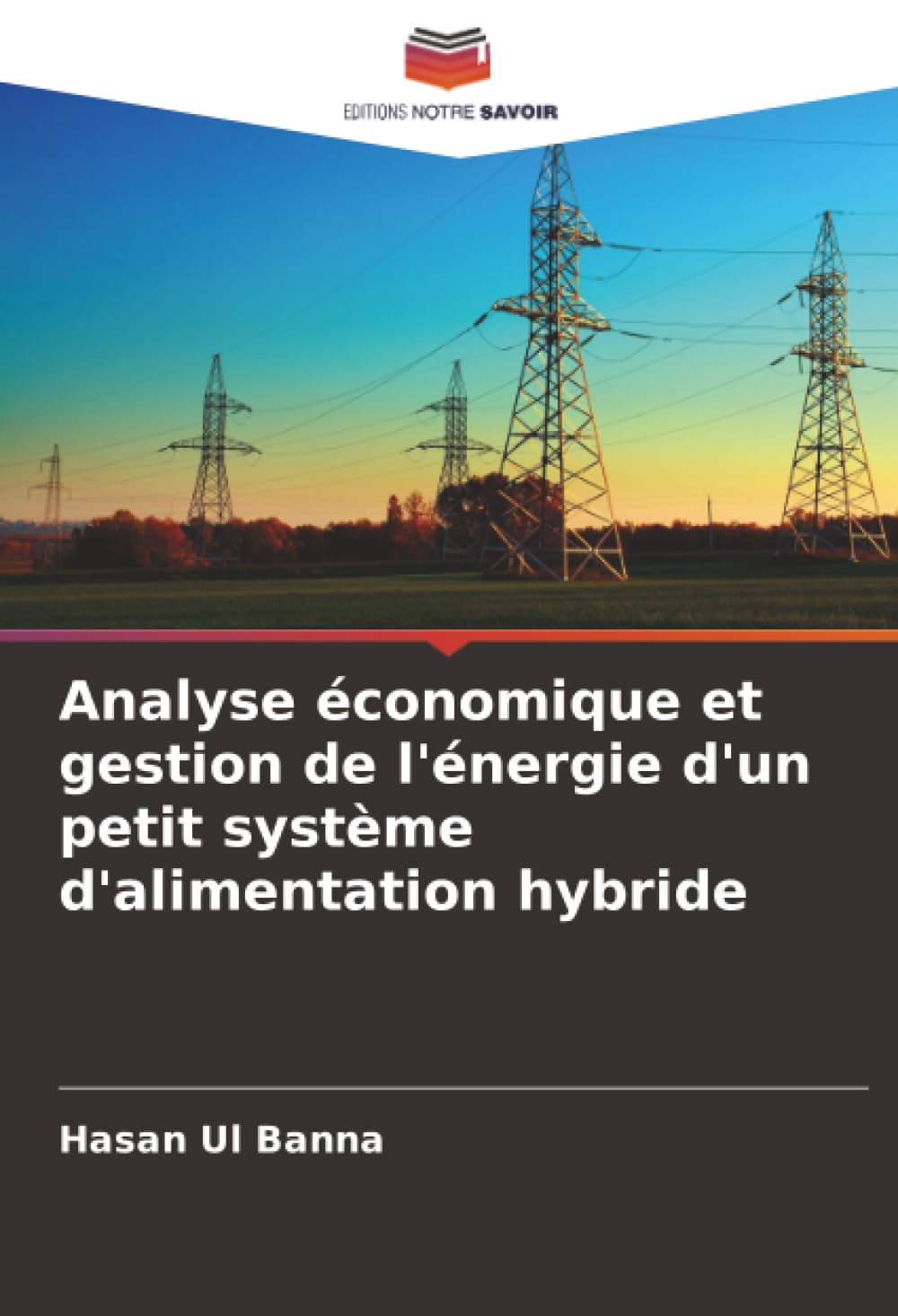 Analyse économique et gestion de l'énergie d'un petit système d'alimentation hybride