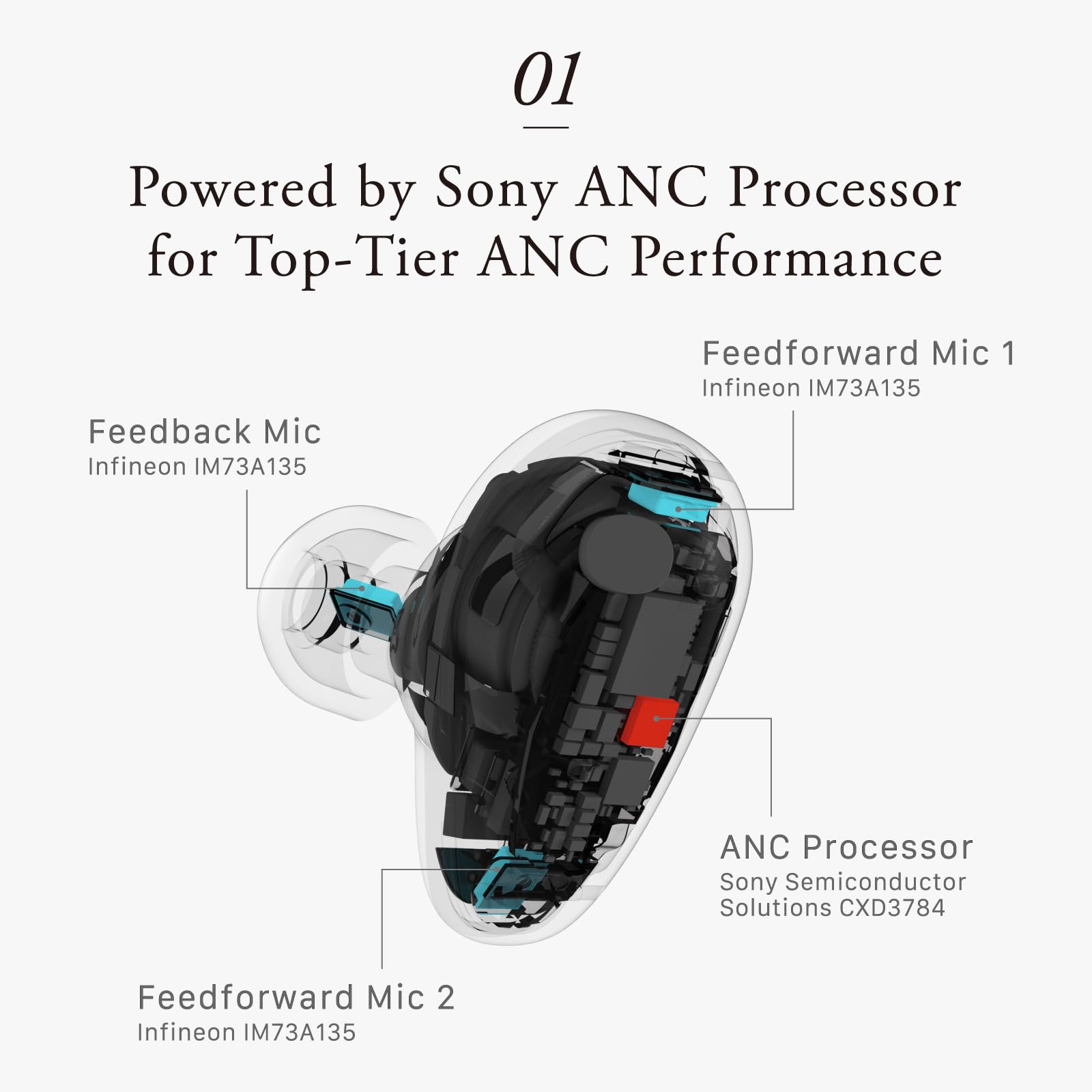 Amazon.com: Final Audio TONALITE Wireless Earbuds – Personalized
