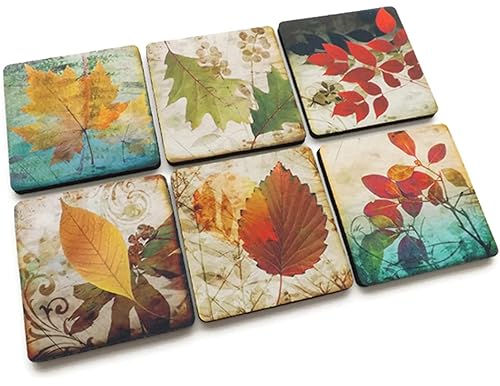 Top Picks: Thanksgiving Coasters for Drinks | [Best Picks in 2024]