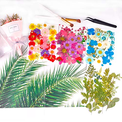 image for VFFUNNX Dried Flowers for Resin,122pcs Real Dried Flowers, 4 Pack Drie
