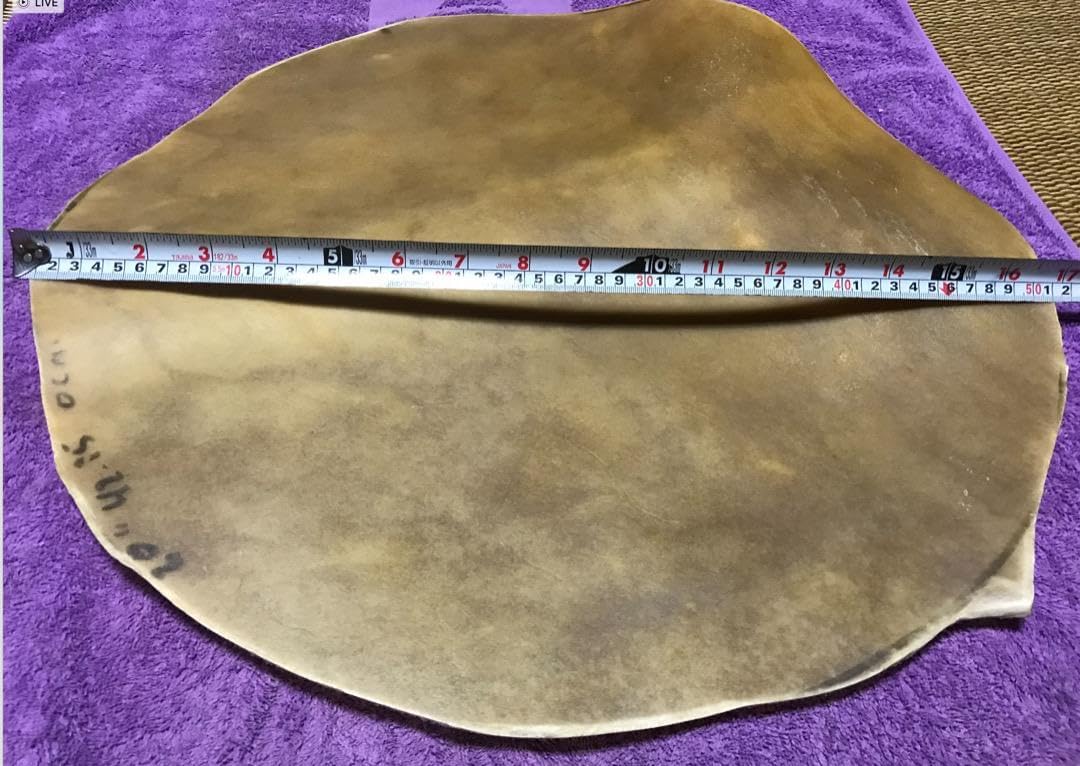 キューバ産コンガ用フラットヘッド キューバ産コンガ フラットヘッド