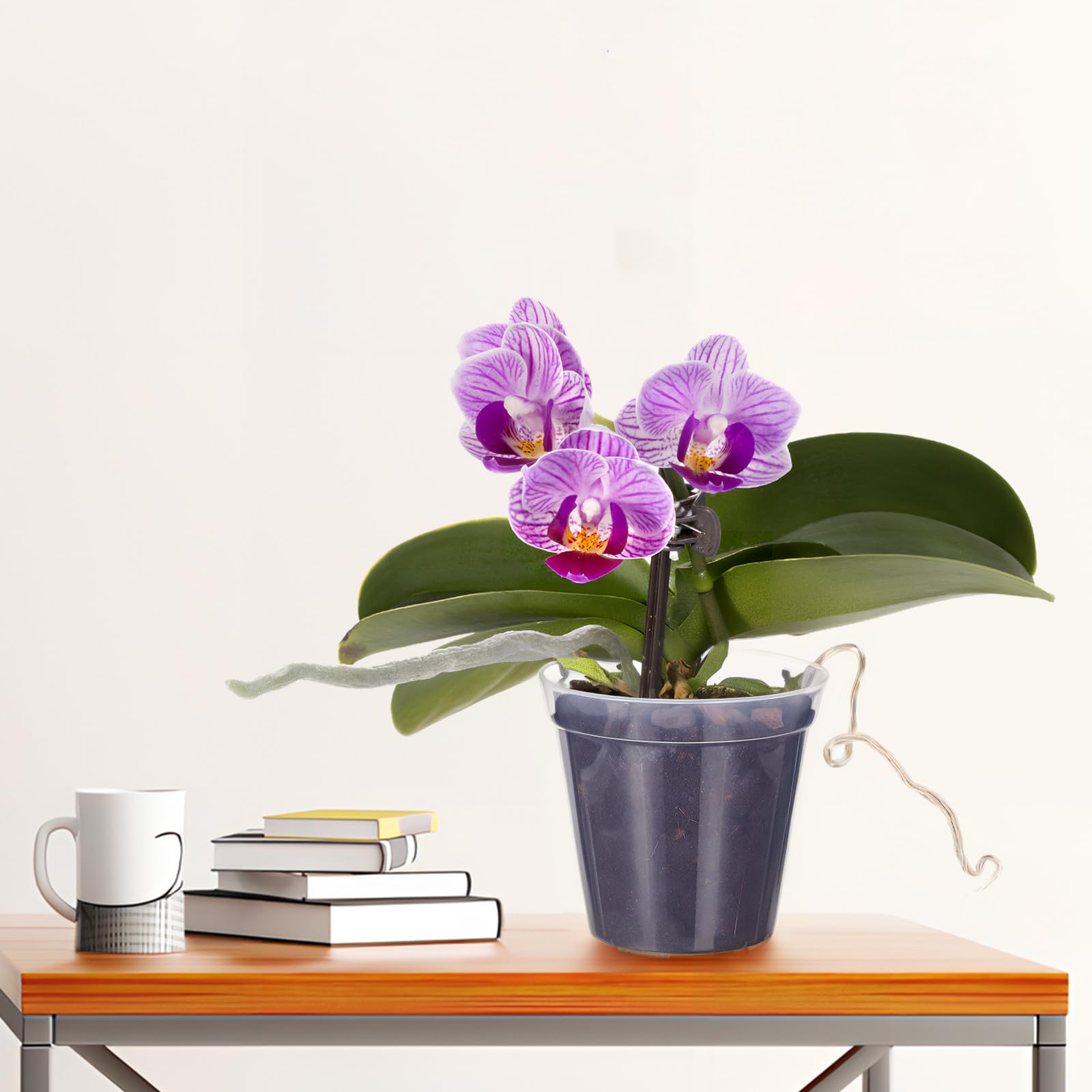 UPKOCH 10 Pièces Pot à Orchidées en Plastique Transparent avec Trous de Drainage Intégrés, Réutilisable et Polyvalent pour Plantes D'intérieur et Jardinage,