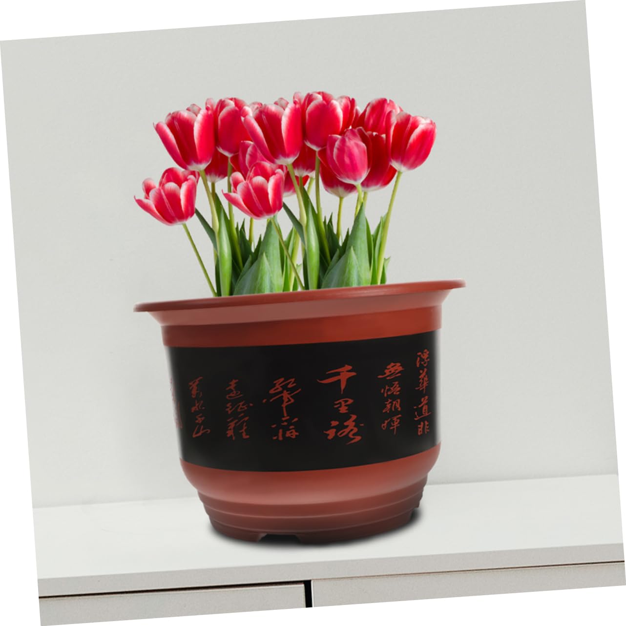 Hemobllo 2pièces Pot De Fleurs Plastique pour Orchidées avec Drainage pour Plantes Intérieur Et Extérieur Lot de Jardinières