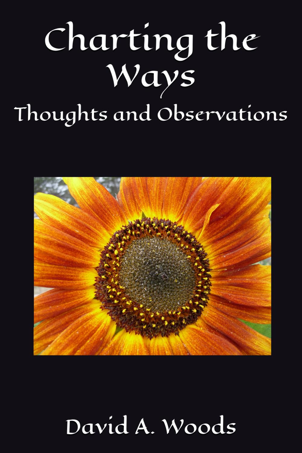 Charting The Ways: Thoughts and Observations