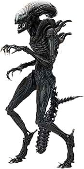 617sA6M2ymL._AC_UF350,