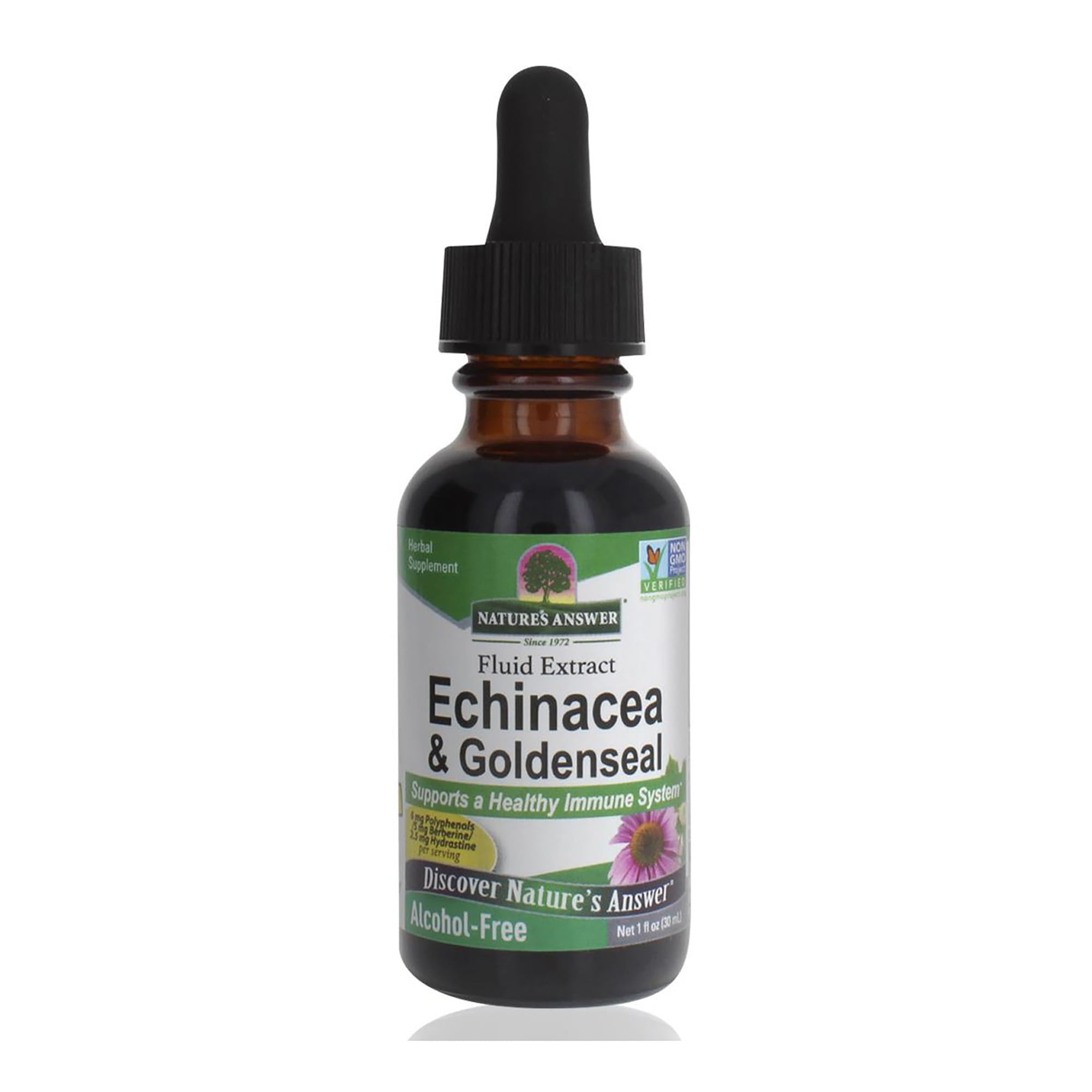Natures Answer Alcohol free Echinacea & Goldenseal, 1 lb
