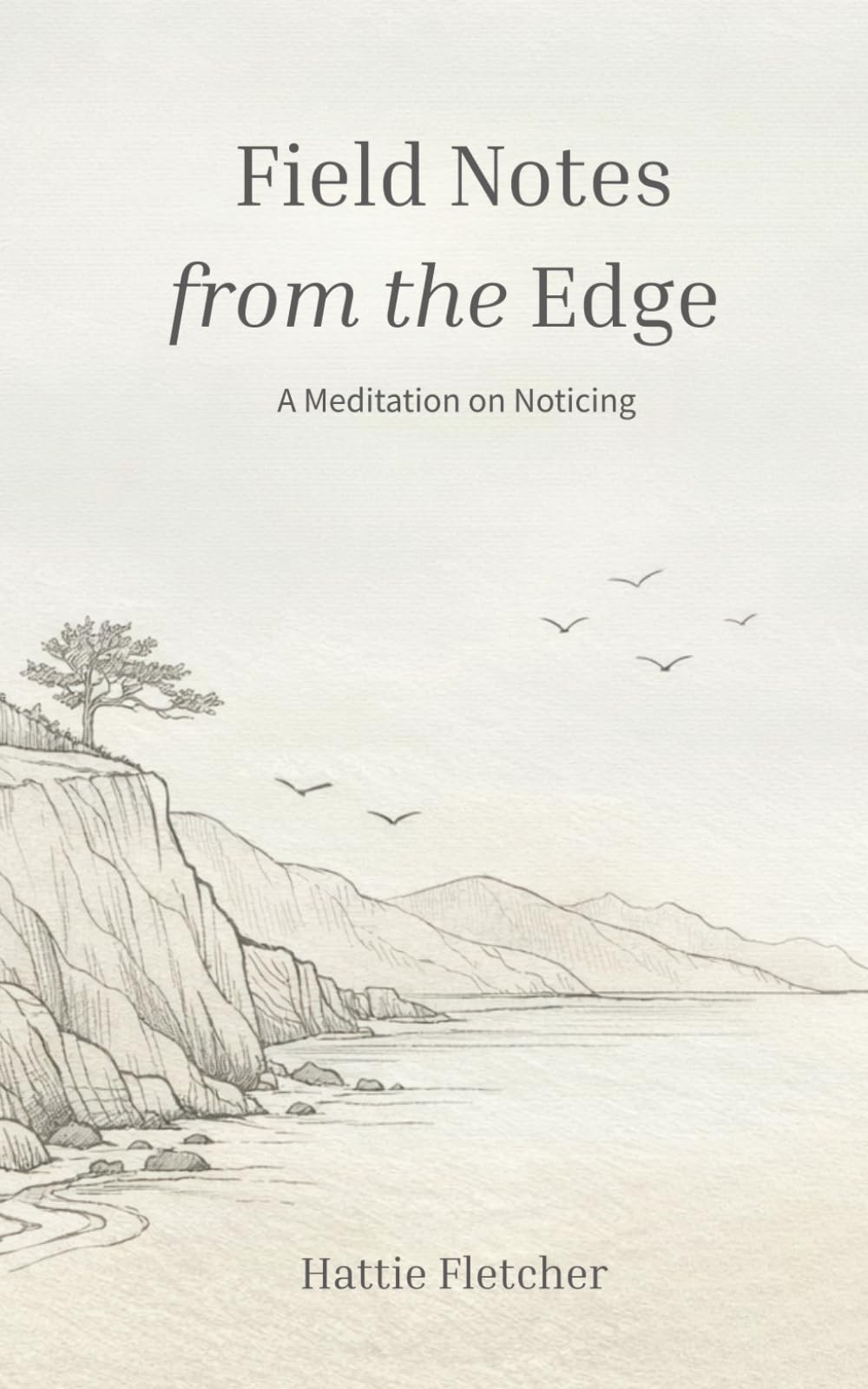 Field Notes from the Edge: A Meditation on Noticing