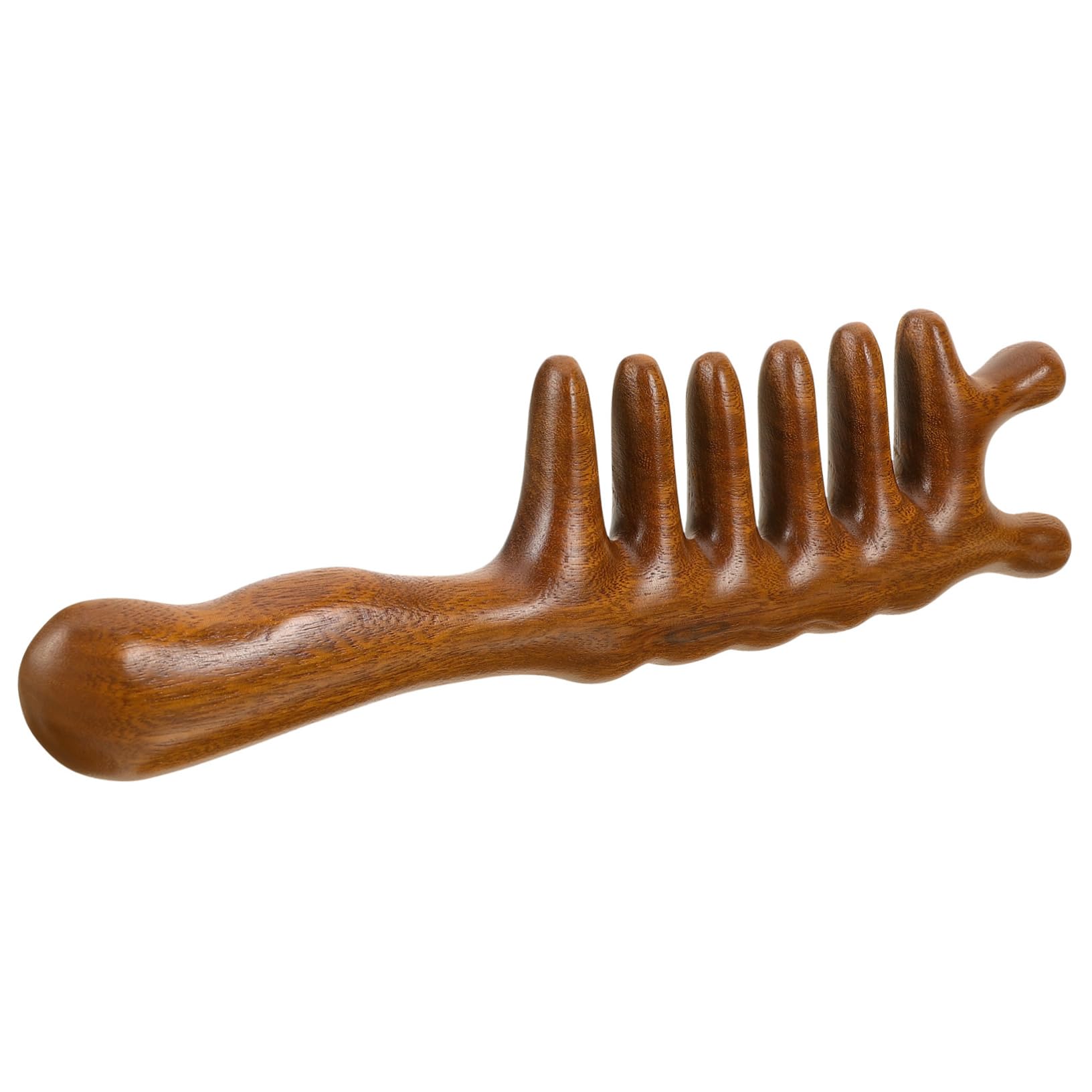 FRCOLOR Peine De 3 Piezas Peine Pequeño s Para Extra Anchos De Anchos De Madera o Para El Cuero Cabelludo De Madera Para El Cabello