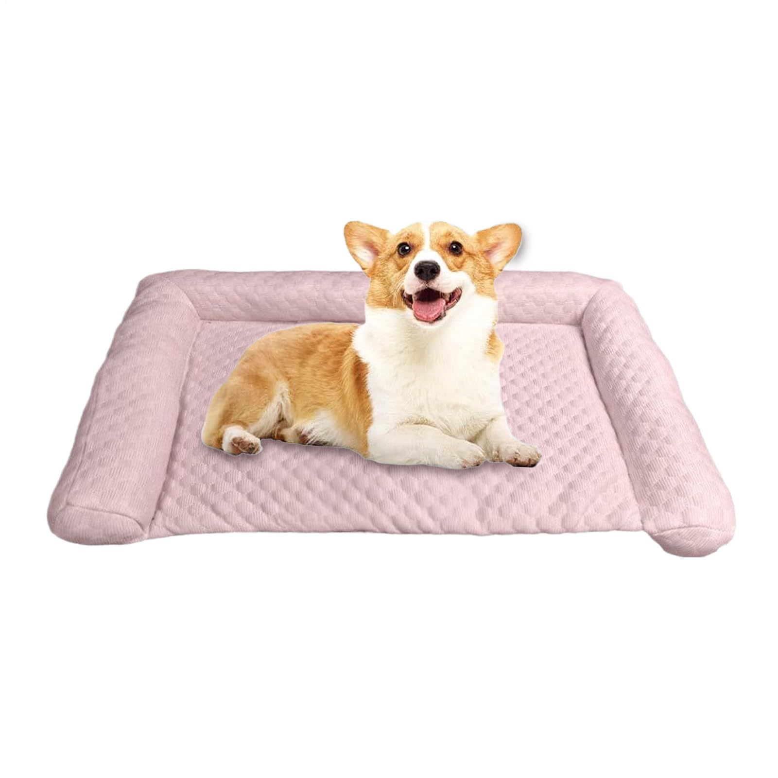 Tapis de refroidissement pour chien idéal en appartement par temps chaud