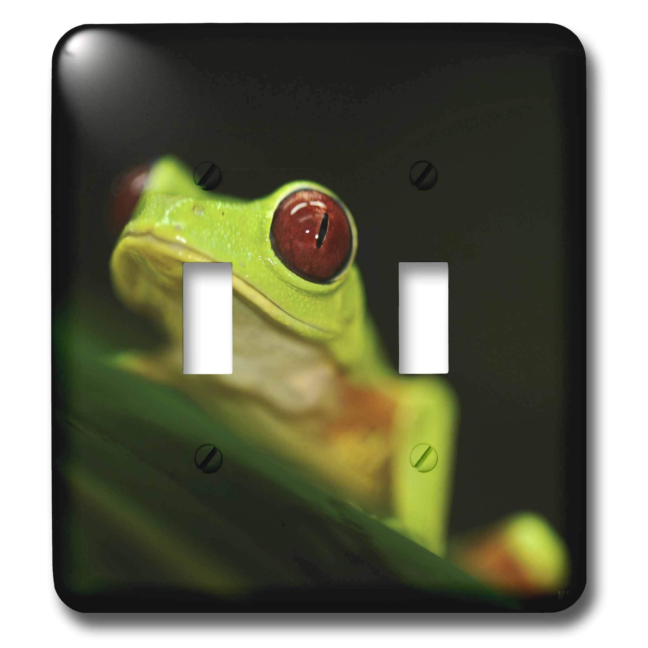 Double interrupteur grenouille vert clair plaque de finition électrique décoration murale animaux