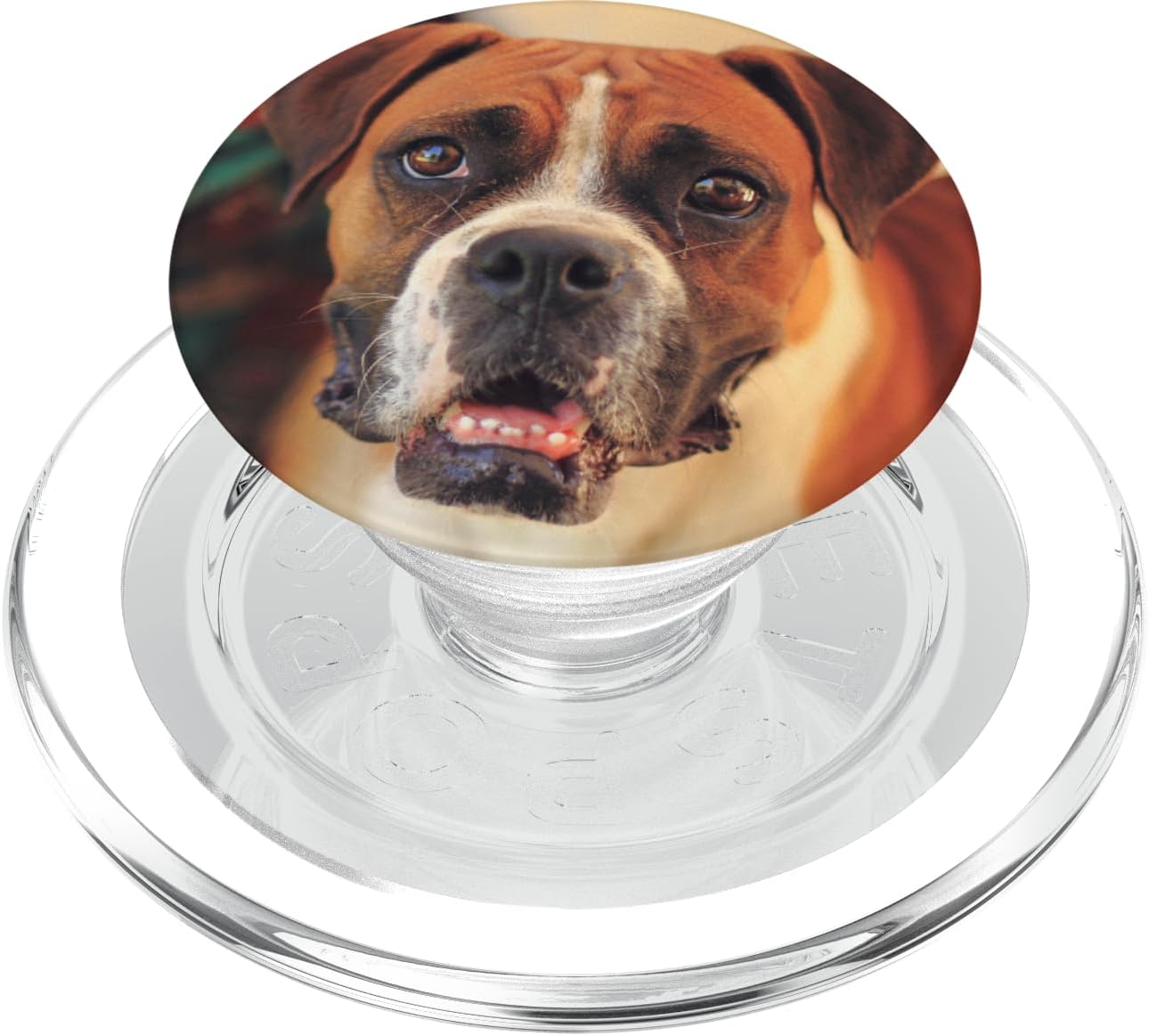 Boxer Dog PopSockets MagSafe PopGrip for iPhone