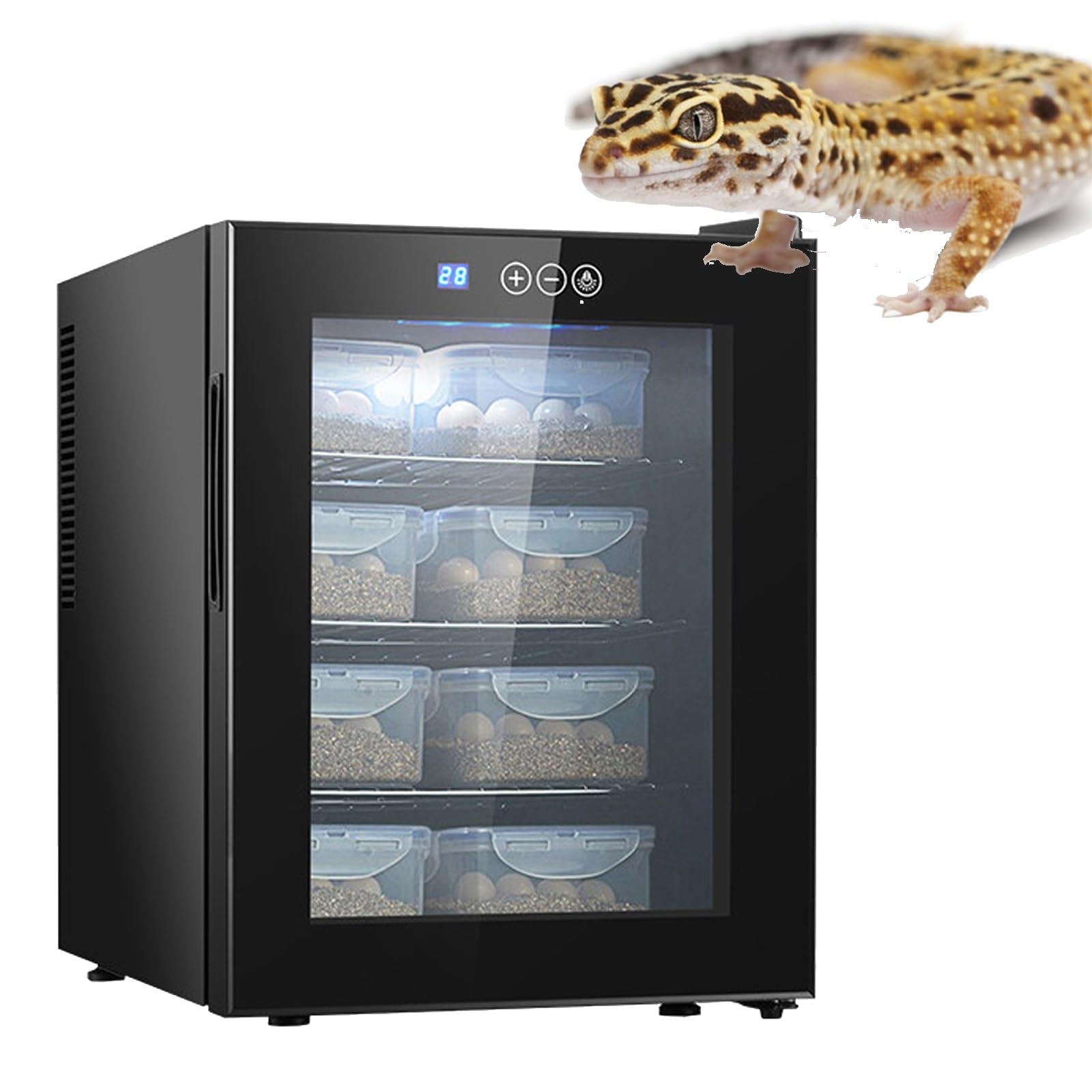 Incubadoras de gabinetes for Reptiles for Huevos for incubar, Laboratorio de Ciencias Digitales, con luz LED, de 50-104 °F, for investigación científica, organización de conservación
