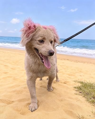 Miniatura 9 de Correa elástica reflectante de 5 a 7 pies, sin tirones para absorción de impactos, correa elástica de nailon para perros y gatos pequeños y medianos