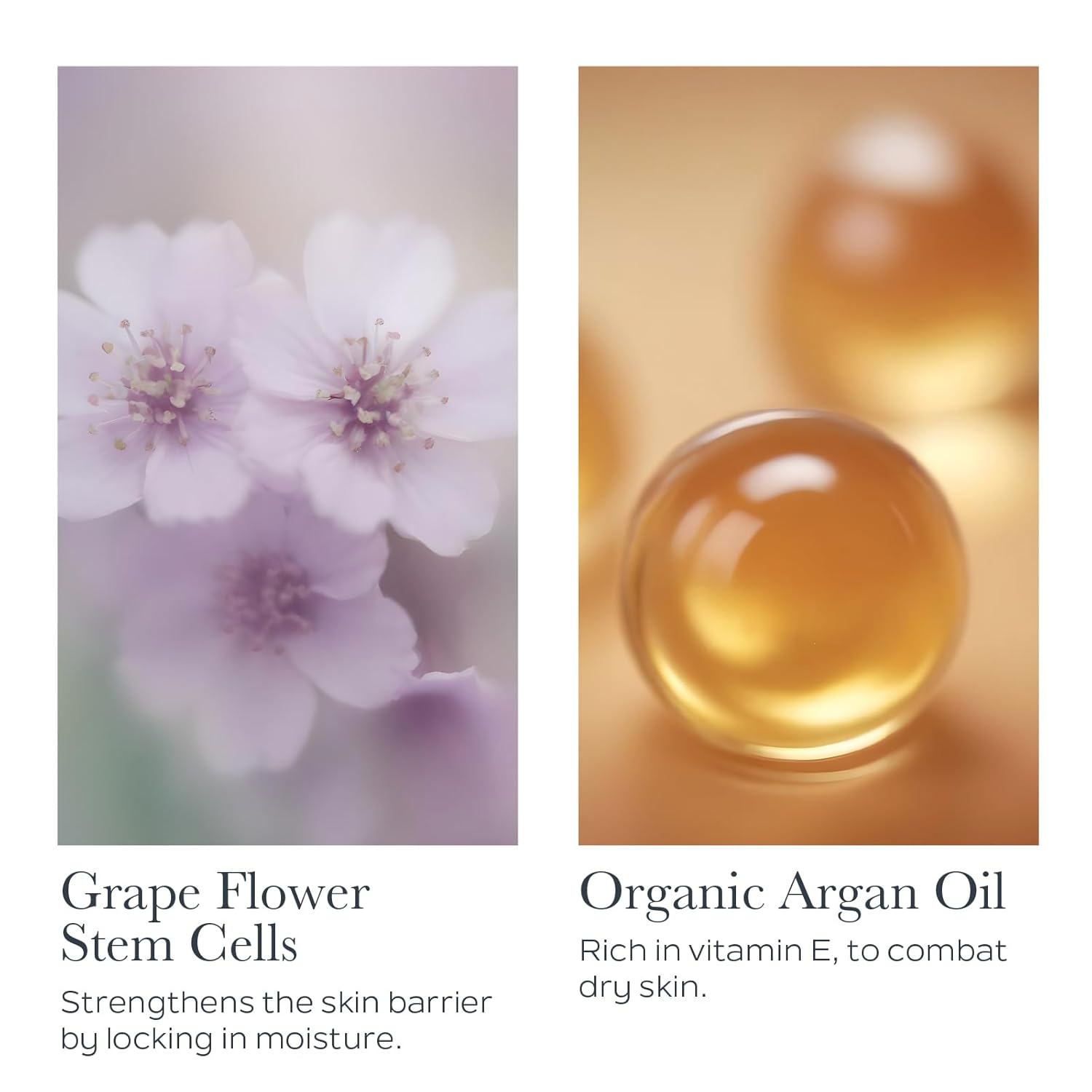 SOTHYS Ultra-Lipid SOS Serum - Face Serum with Vitamin E | Anti Aging Moisturizer For All Skin Types - Image 3