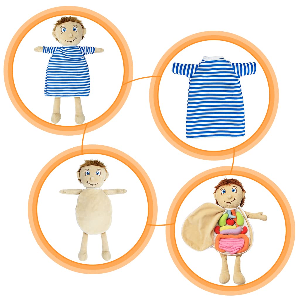 Modelo De Cuerpo Humano Para Niños – Muñeca De Anatomía De 48x33 Cm Con órganos Extraíbles De Peluche, Ropa Incluida – Juguete Educativo E Interactivo