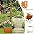 Moccha Wooden Garden Arbor with Planter - Outdoor Arbor Trellis for Climbing Plants, Roses, Vines, Outside Pergola Planter, Garden Arch for Lawn Backyard Wedding Ceremony Bridal Party (Natural)