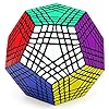 CuberSpeed Teraminx Black Magic Cube 7x7x7 12-Sided Puzzle Terminx Puzzle