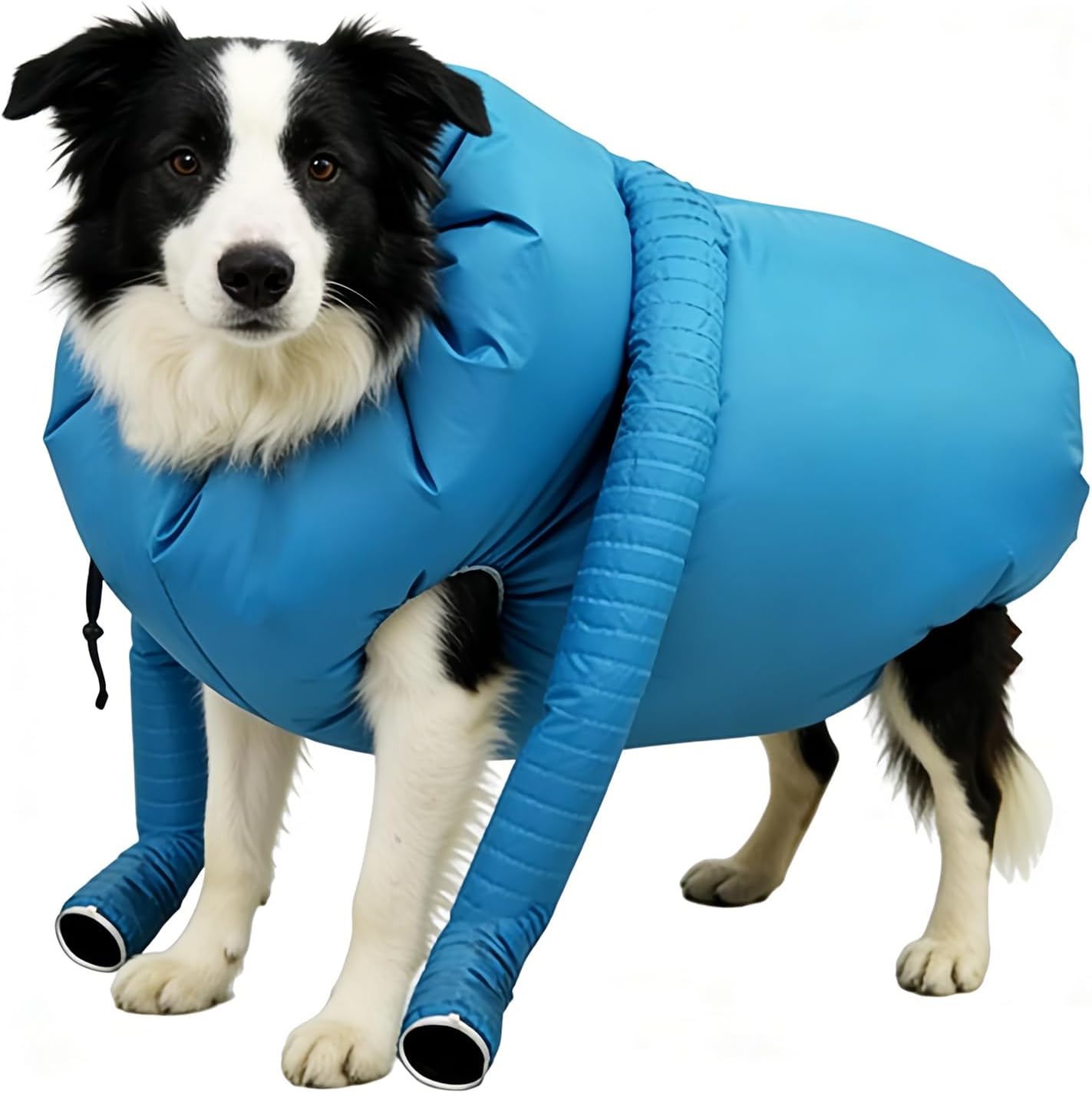 Sacco Asciugante per Animali Domestici – Tuta Toelettatura Aria Circolazione Animali Domestici | Sacco Asciugatore Per Cani | Per Interni Casa Appartamento Doccia Bagno Viaggio Veterinario