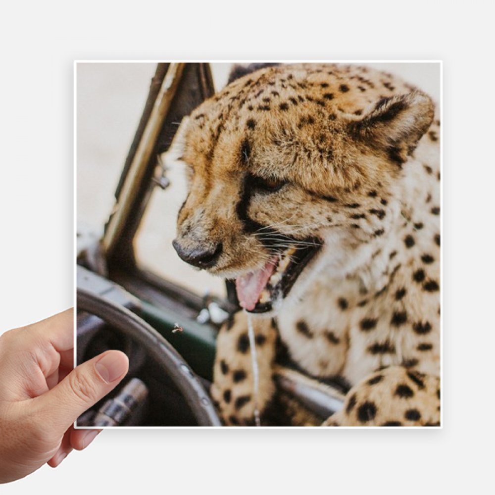 Pegatinas cuadradas de leopardo DIYthinker de 20cm para pared y maletas pack de 4 unidades