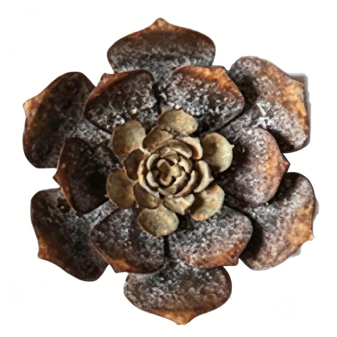 EdirFtra Rustic Iron Flower Wall Decor - 3D Succulent Art, Farmhouse Floral Decor