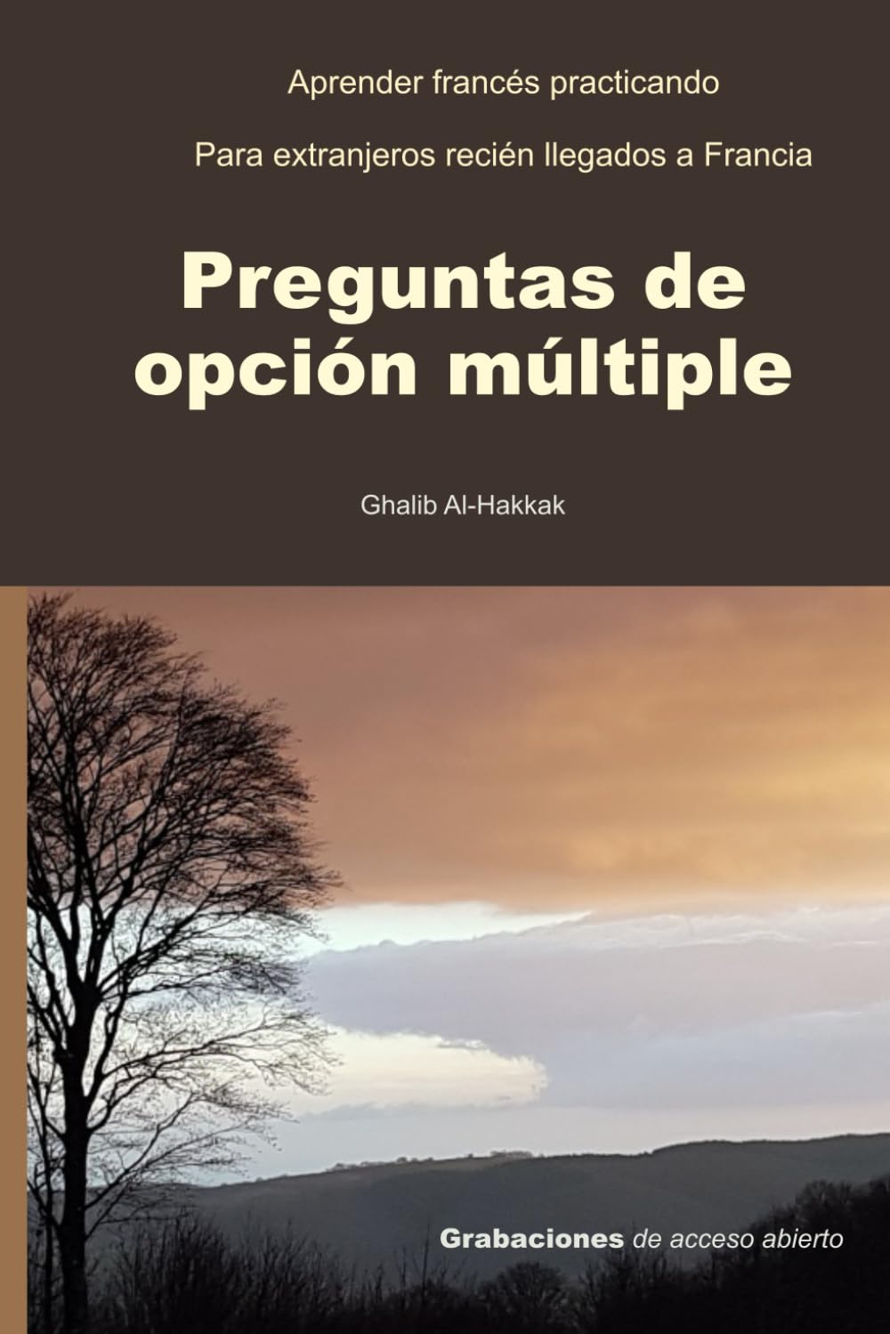 Preguntas de opción múltiple: Aprender francés practicando