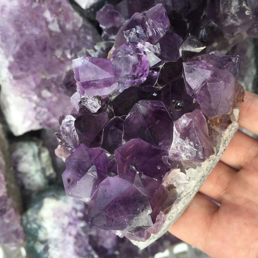 Espécimen de Cristal de Amatista Natural, geoda de Amatista de Uruguay, espécimen de Gemas Inicio Colecciones