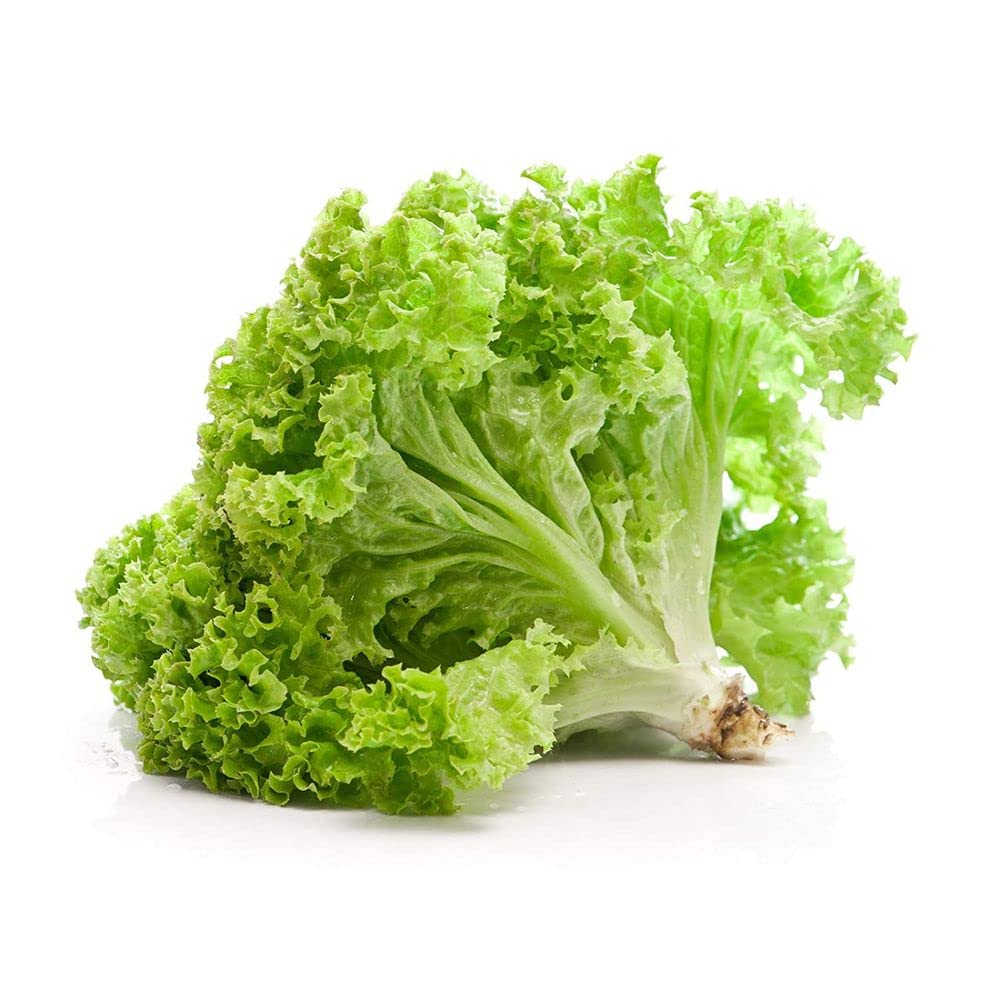 Flare Seeds Lettuce Green Seed Pack of 195 Seeds (B09CB84F45) Amazon Price History, Amazon Price Tracker