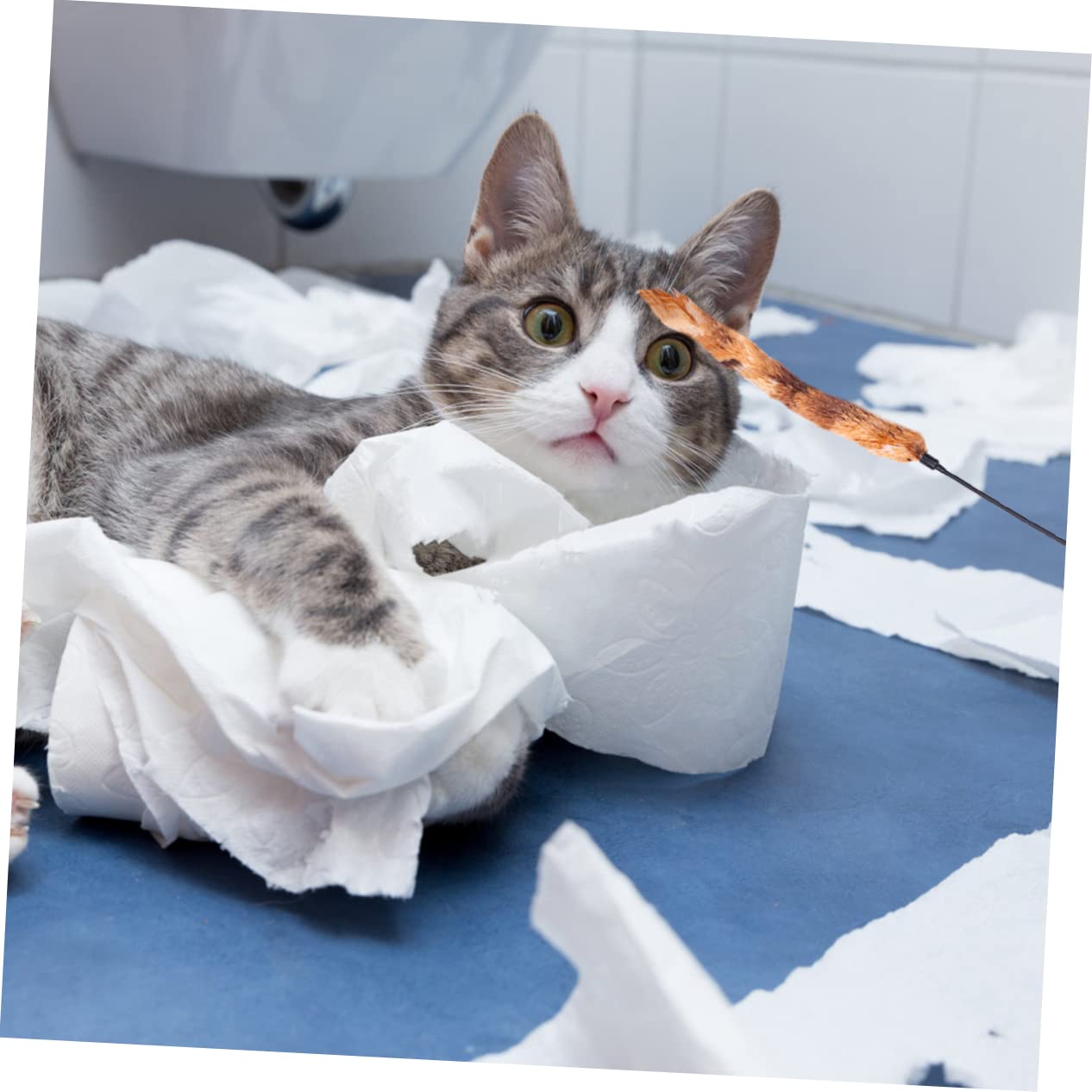 Ipetboom 15pièces Jouet Peluche pour Chat avec Rayé Et Plumes Accessoire Amusant pour Chats Renforcez Le Lien avec Votre Animal