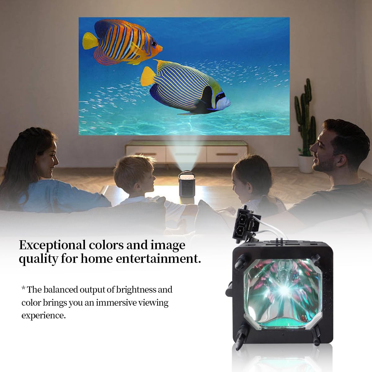 XL-5200 Replacement Projector Lamp Bulb Compatible with Sony KDS-50A2000 KDS-55A2000 KDS-55A2020 KDS-55A3000 KDS-60A2000 KDS-50A2020 KDS-50A3000 Projectors, with Housing