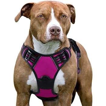 hdp big dog no pull dog harness