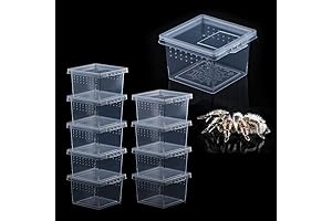 Versatile Bug Container for Kids: Explore the World of Insects!